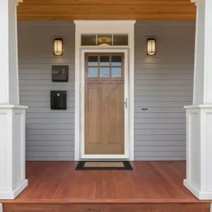 storm door 2